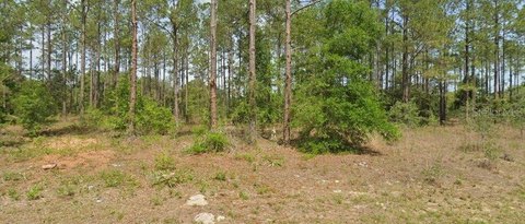Residential Lot in Citrus Springs