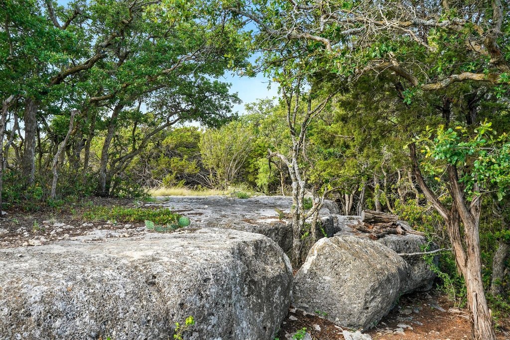 Picture 38
