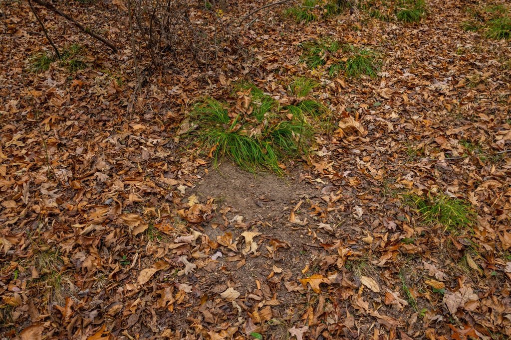 Picture 18
