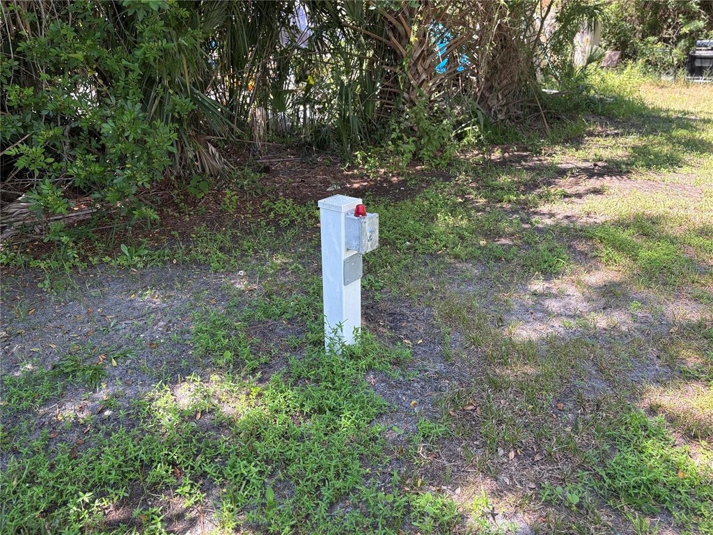 Picture 11