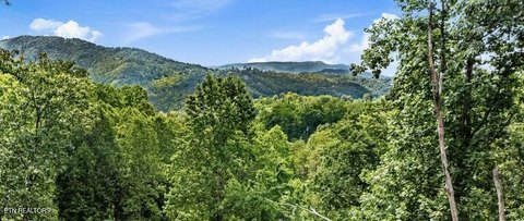 Gatlinburg Smoky Mountain View Lot