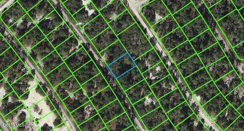 Residential Land in Sun N Lakes