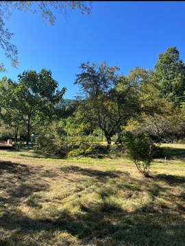 6.3 Acres in Artie, WV