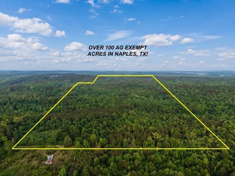Unrestricted Acreage South of Naples