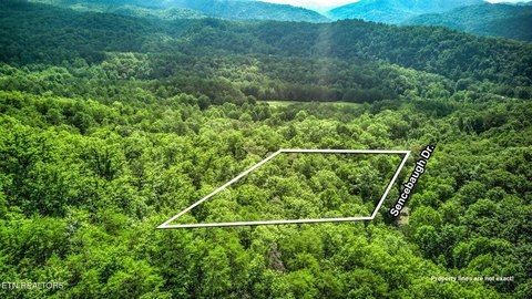 LAND - Sevierville, TN