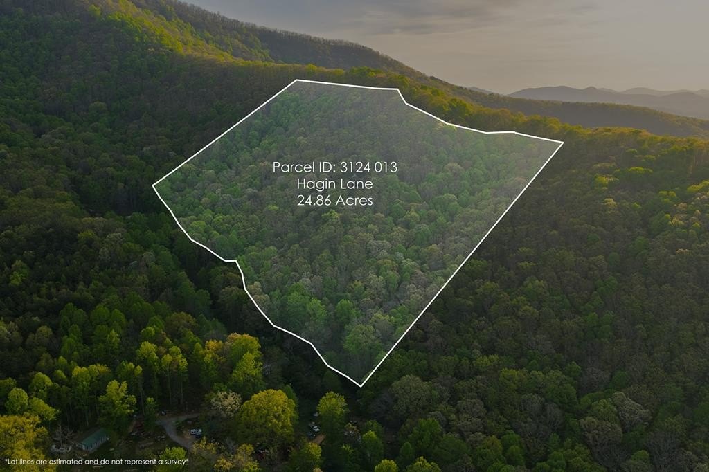 Mountain Land Bordering National Forest