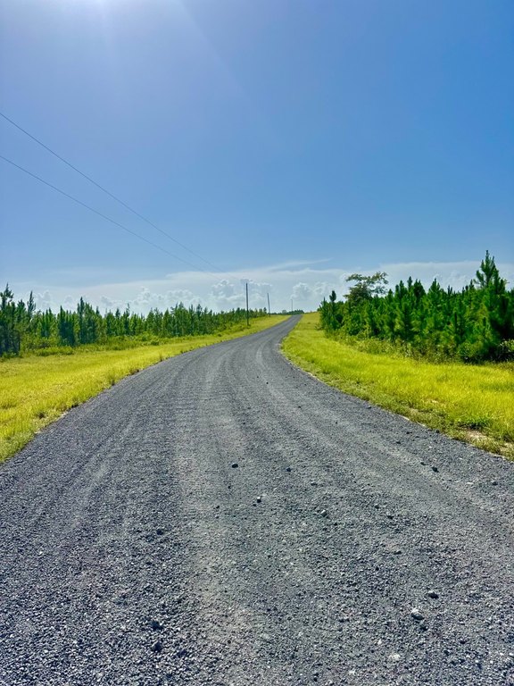 Picture 40