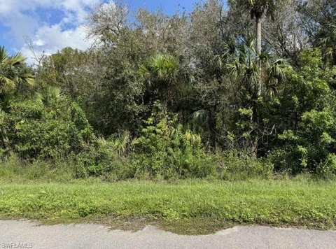 Vacant Land in Naples, Florida