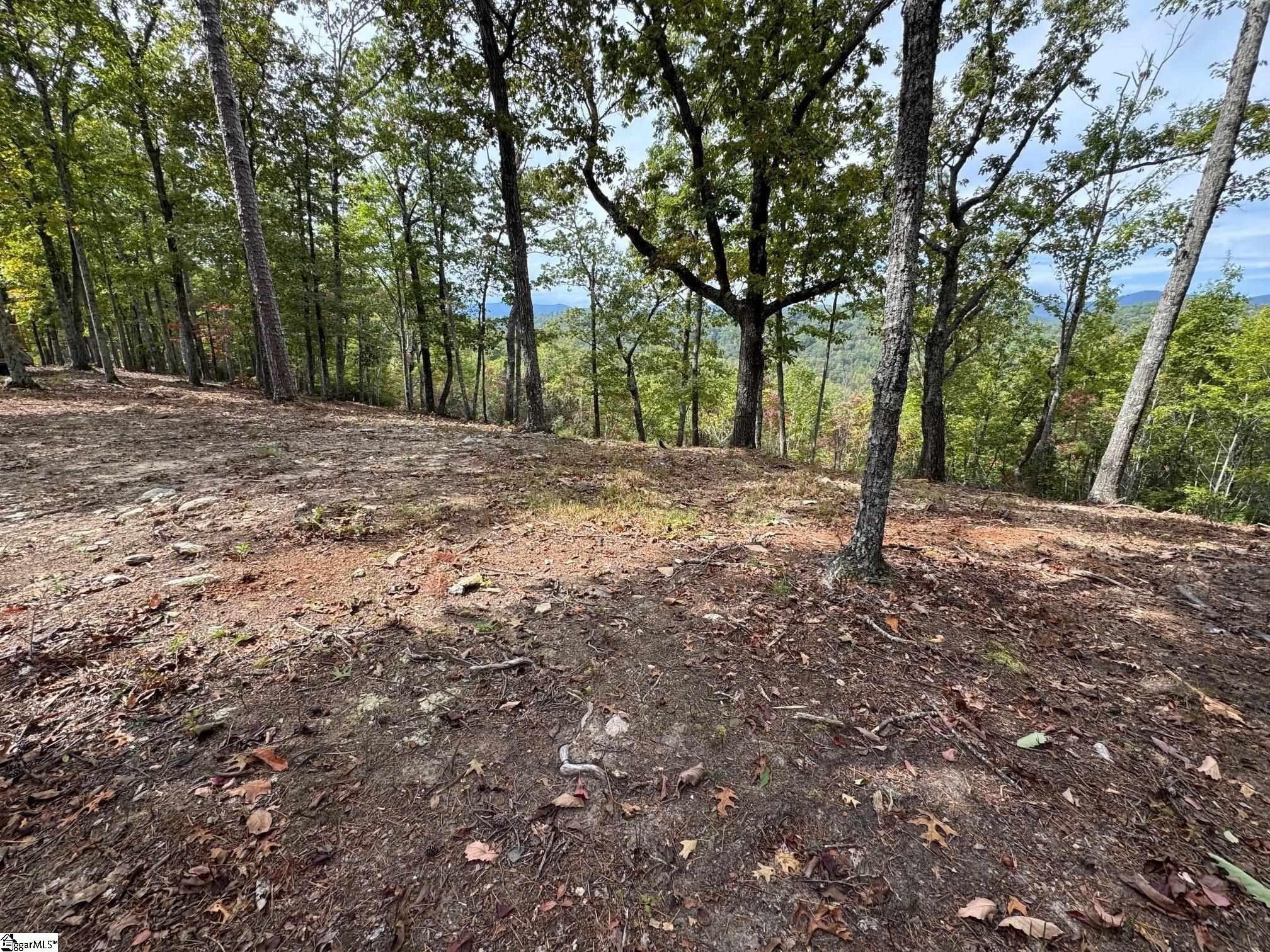 Marietta, SC Homesite with Views
