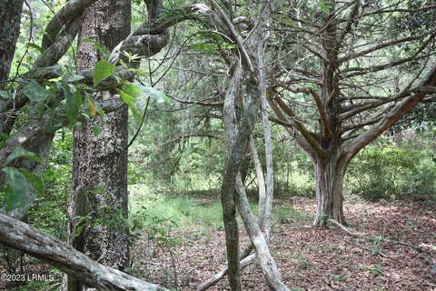 Land in Rural Walterboro