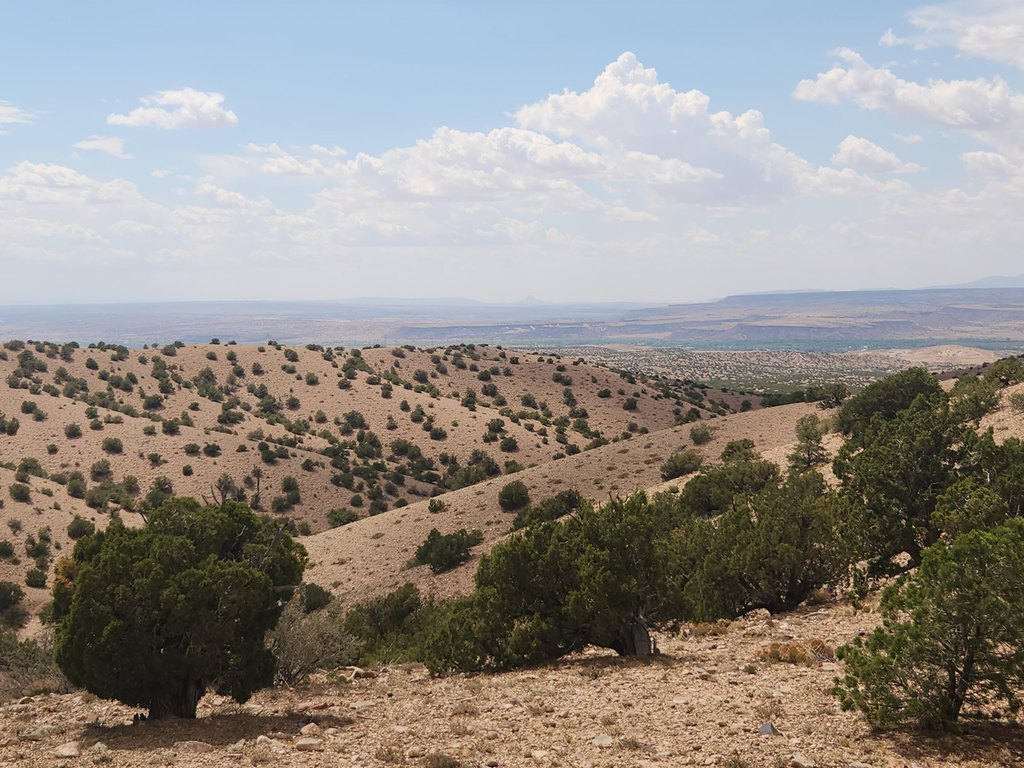 Picture 18