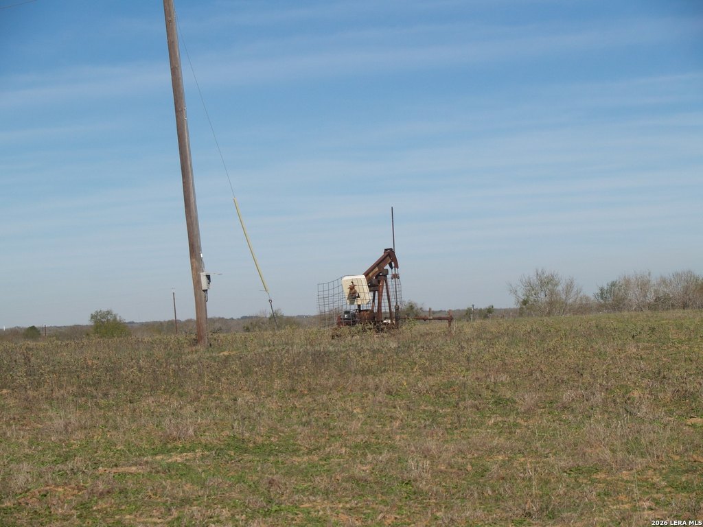 Picture 8