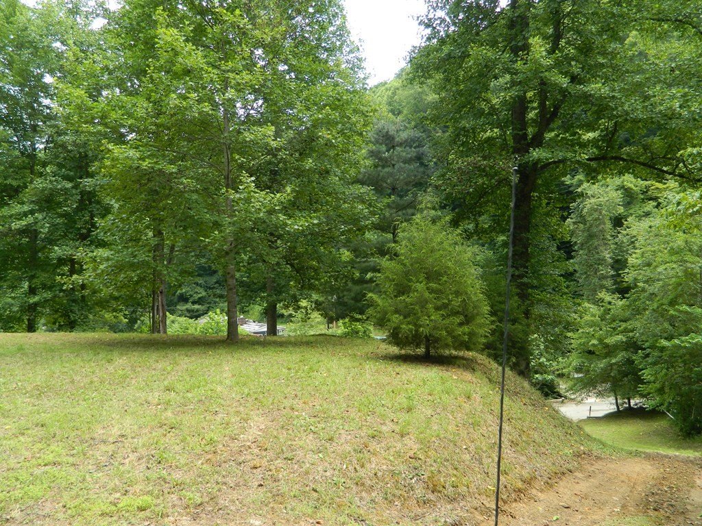 Picture 8