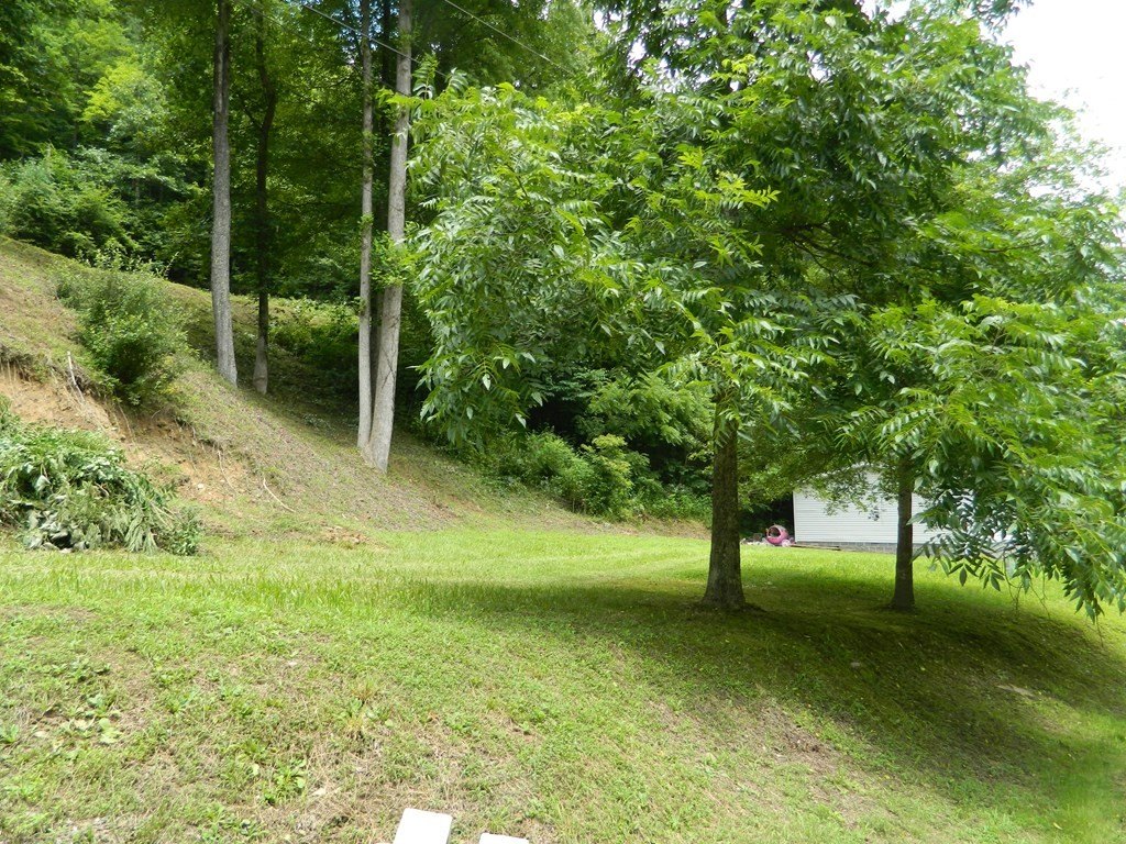 Picture 5