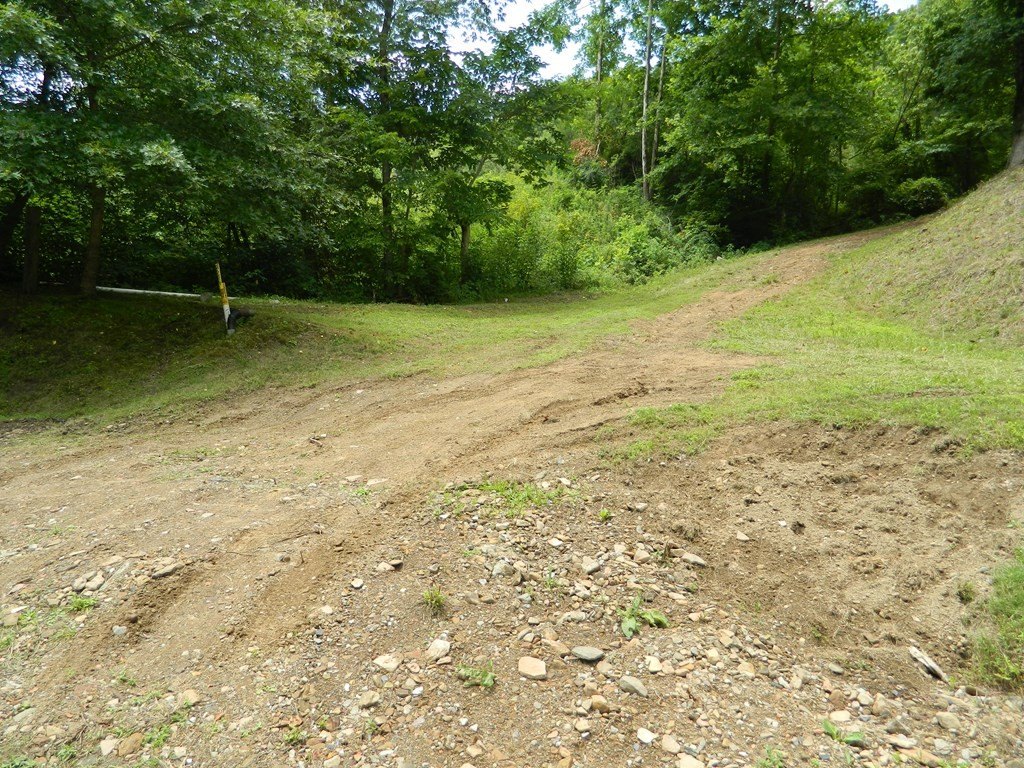 Picture 7