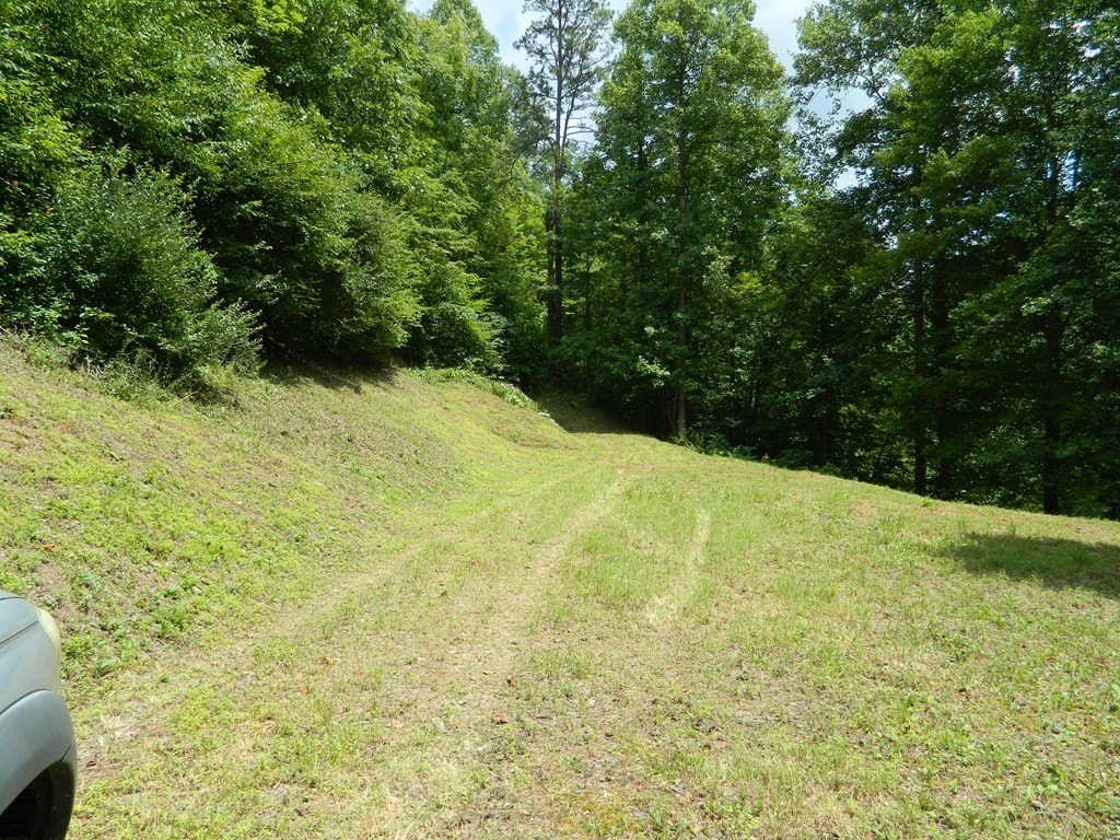 Picture 2