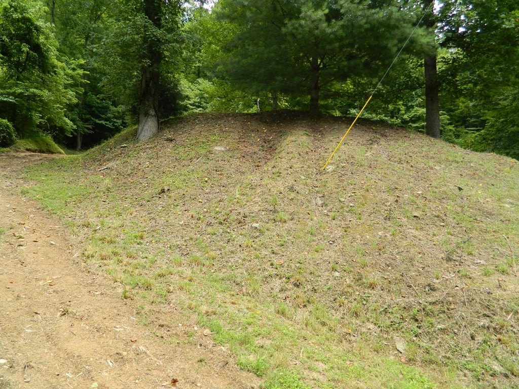Picture 9