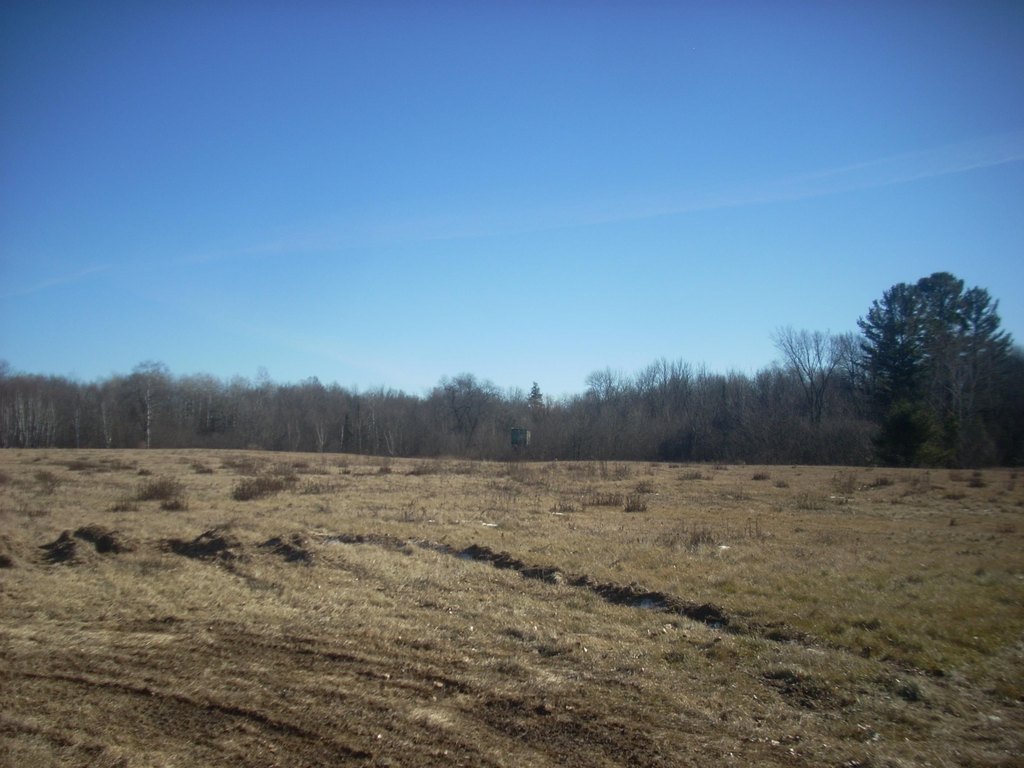 Picture 5