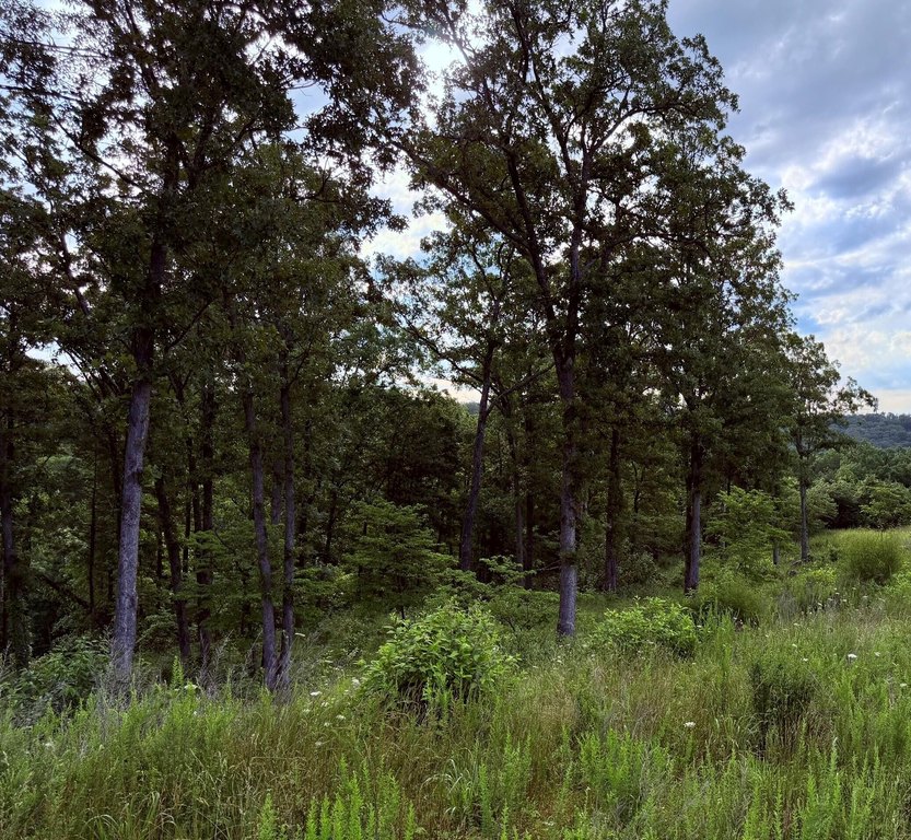 Picture 6