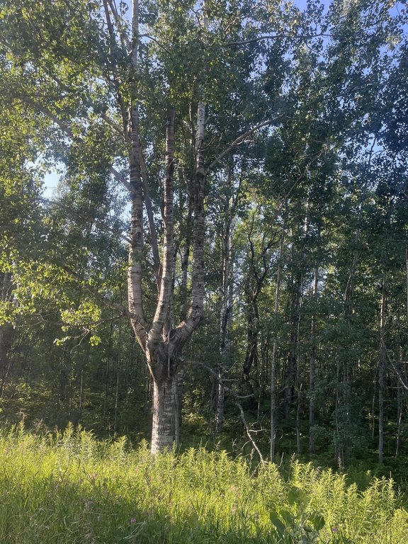 Picture 7