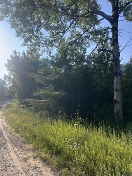 LAND - Elmira, MI