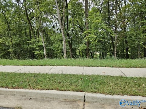 Huntsville Wooded Lot Near Medical