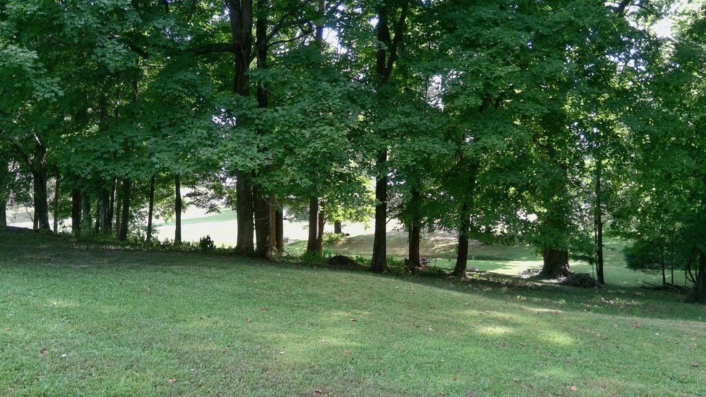 Picture 22