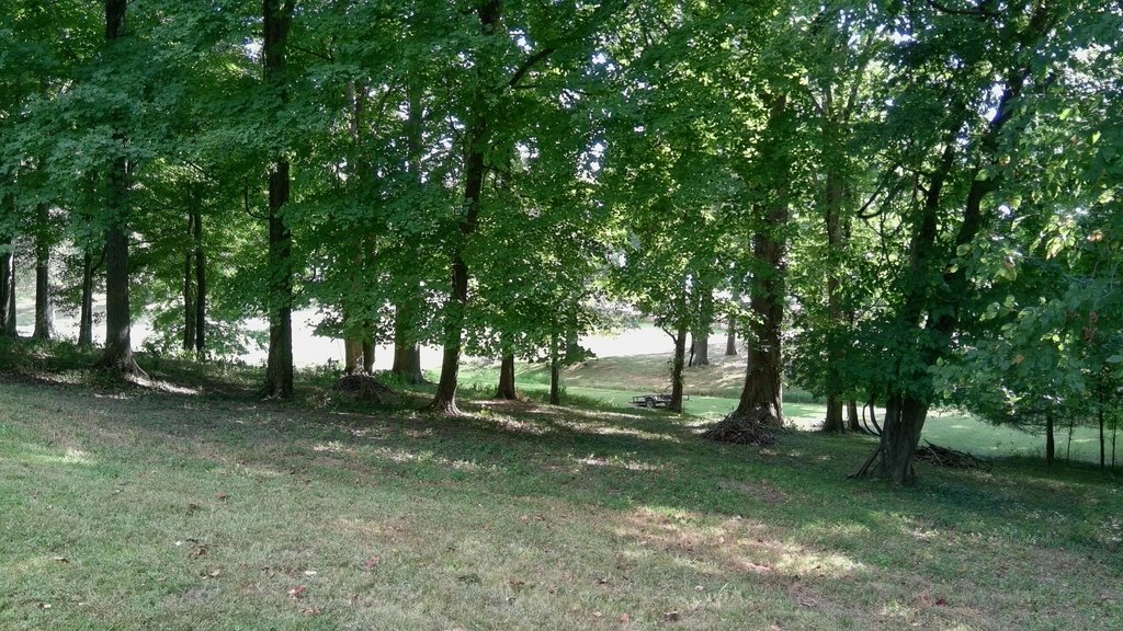 Picture 24