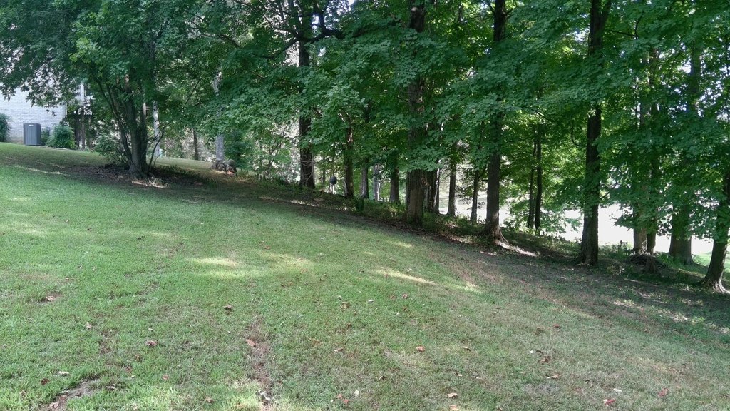 Picture 25