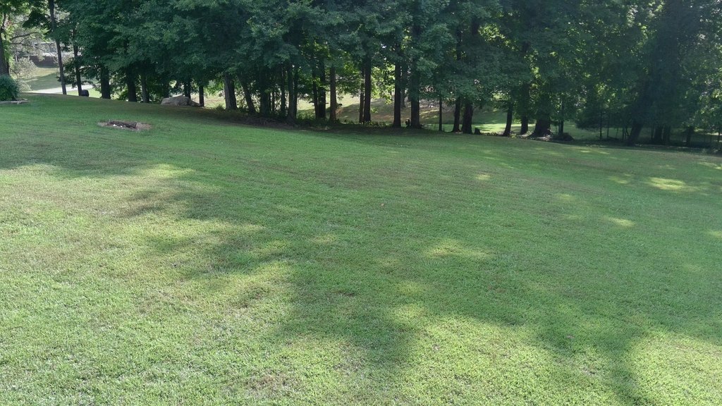 Picture 17