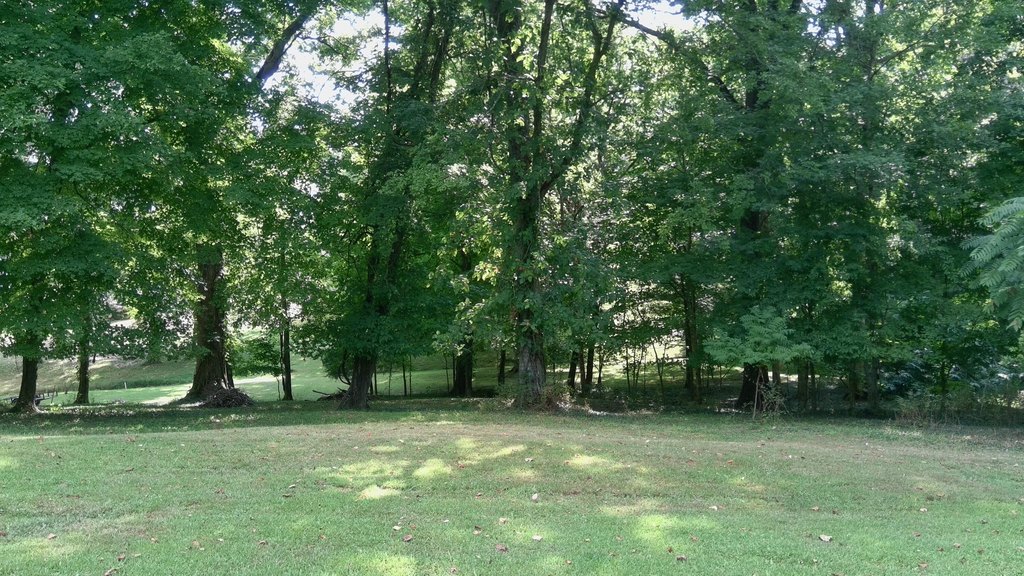 Picture 20