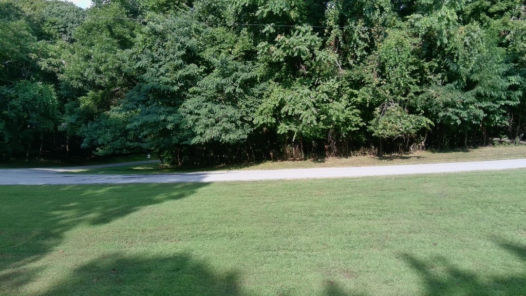 Picture 18