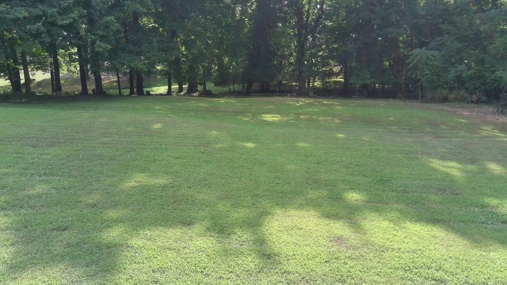 Picture 15