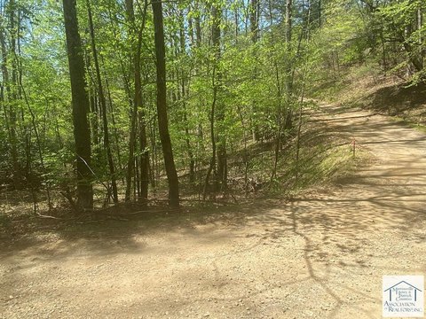 Land in Woolwine, Virginia