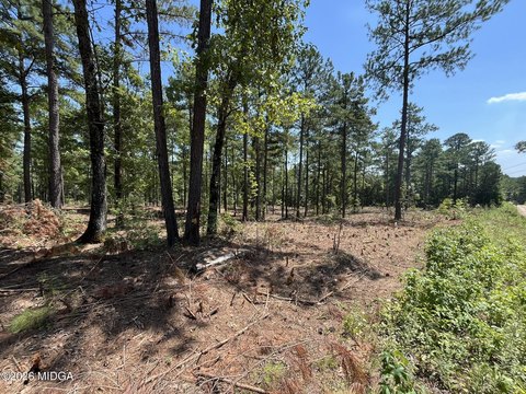 Land, Forsyth, GA