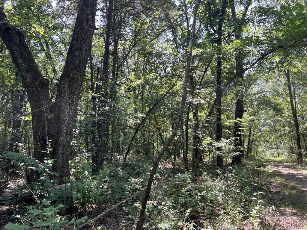 Picture 4