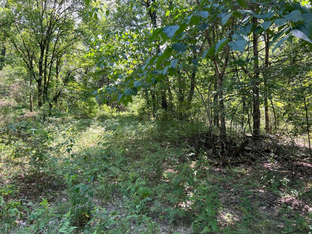 Picture 6