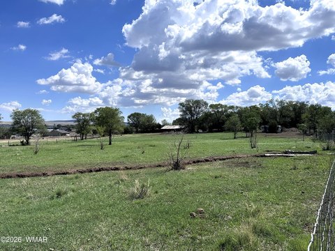 Commercially Zoned Irrigated Pasture Land