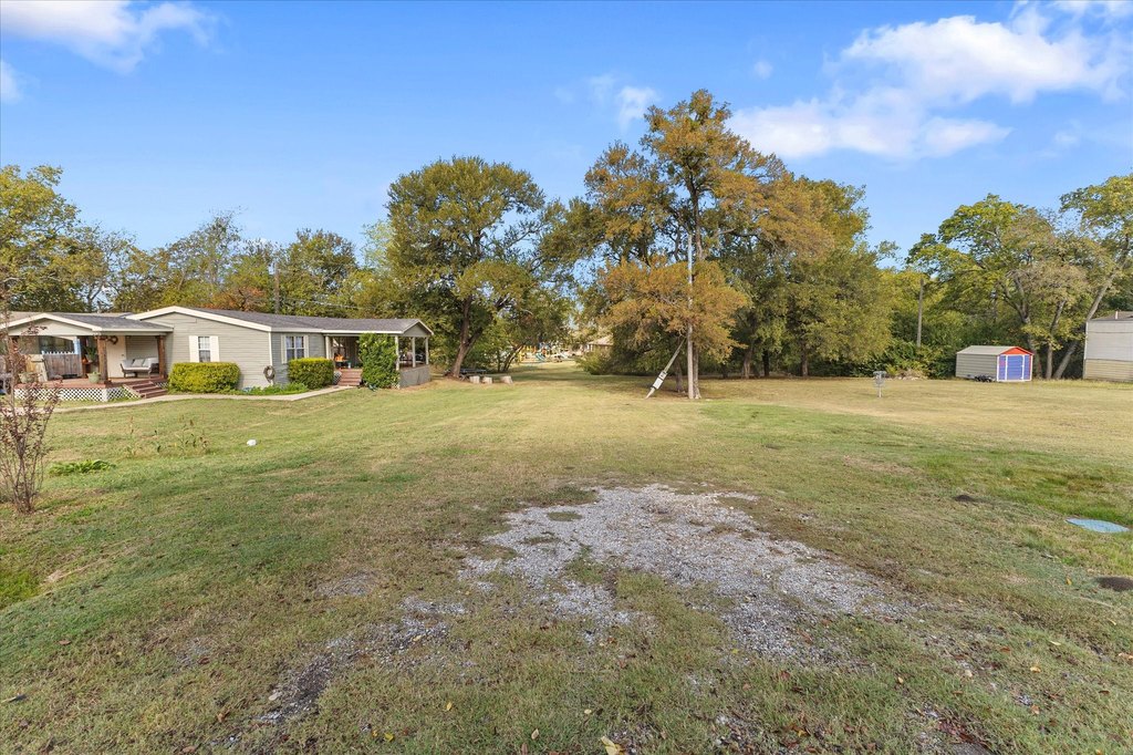 Picture 6