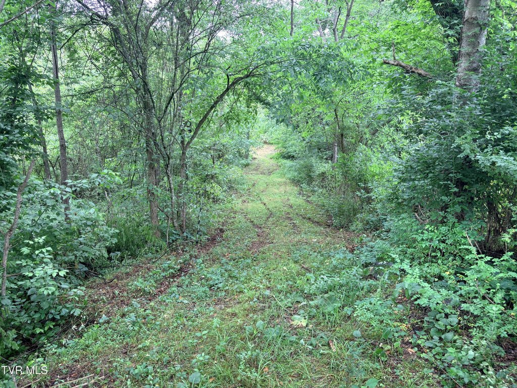 Picture 18