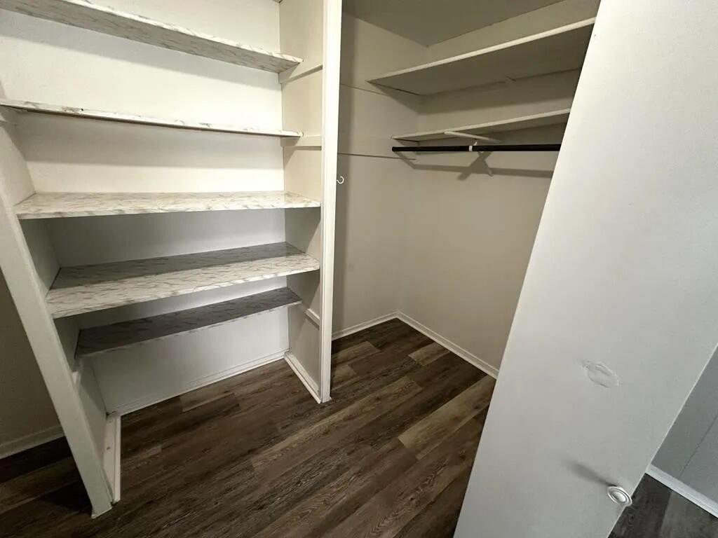 Picture 27