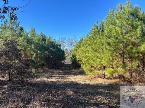 78 Acres of Opportunity