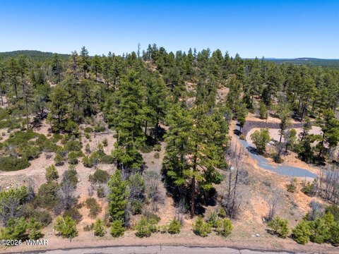 LAND - Lakeside, AZ