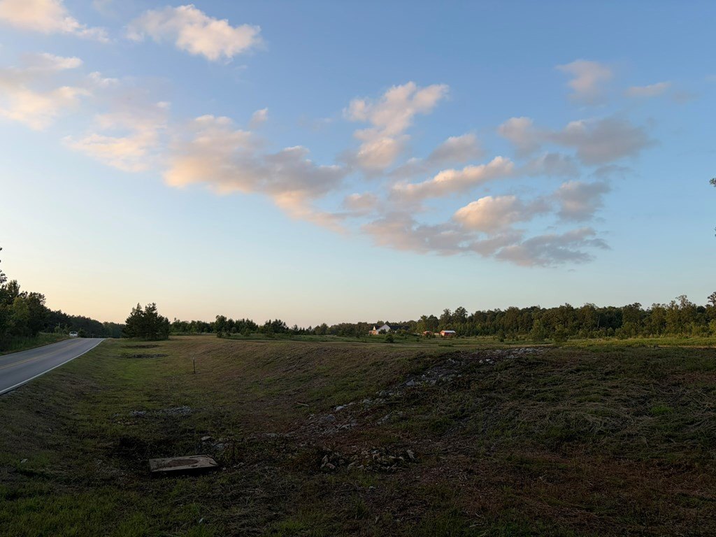 Picture 12