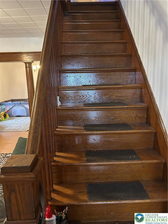 Picture 10