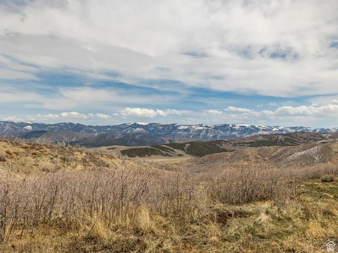 42.32 Acres Backs BLM Land