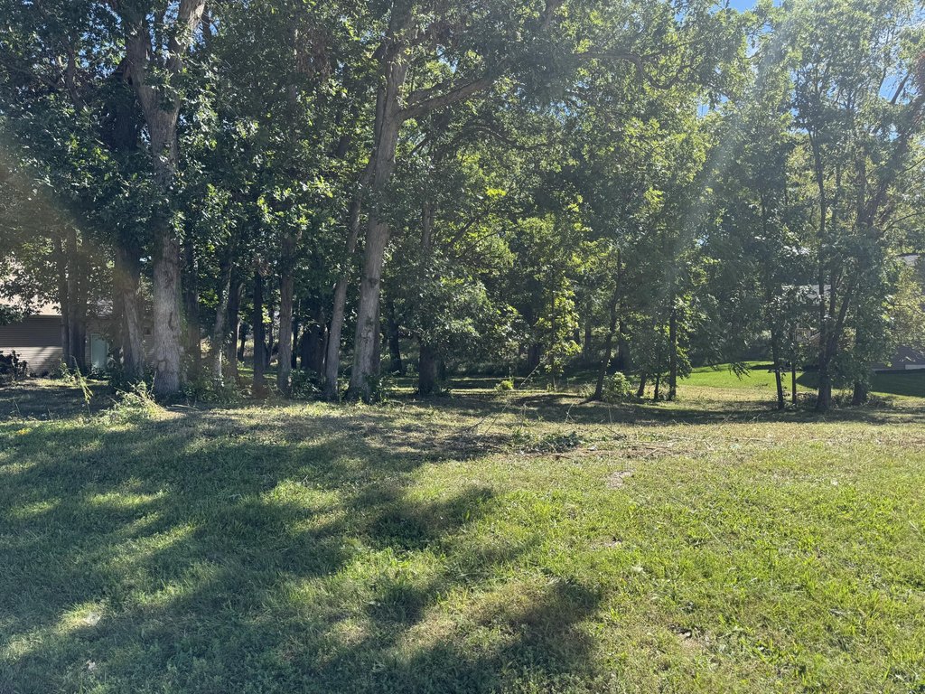 Picture 3