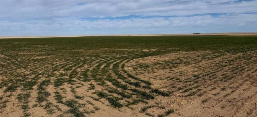 Cheyenne Wells Vacant Land Available