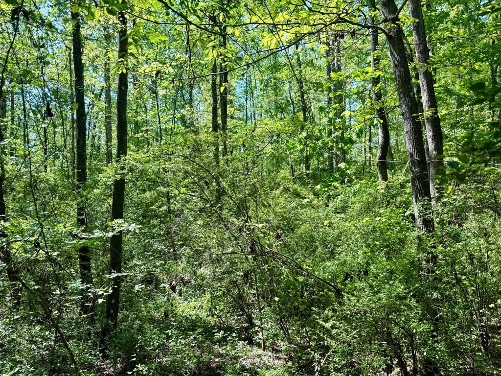 Picture 29