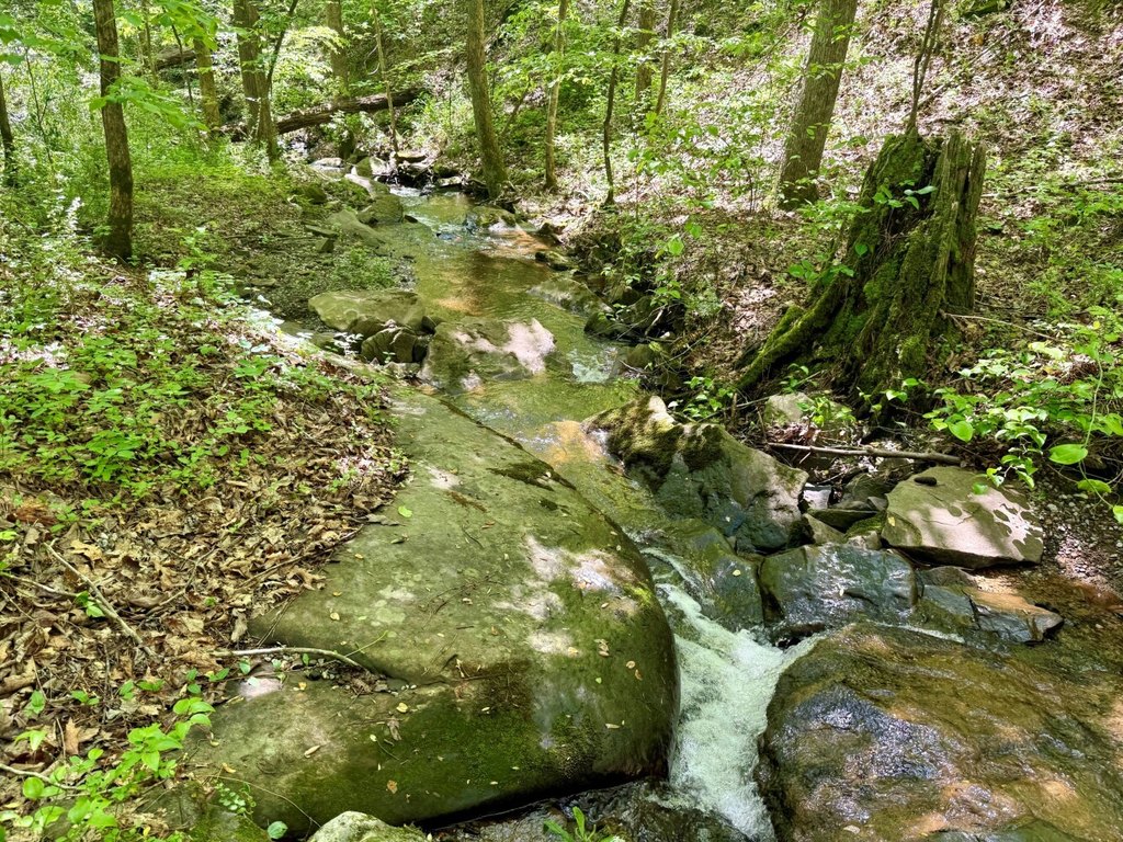 Picture 23